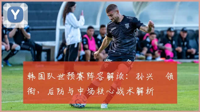 韩国队世预赛阵容解读:孙兴慜领衔,后防与中场核心战术解析